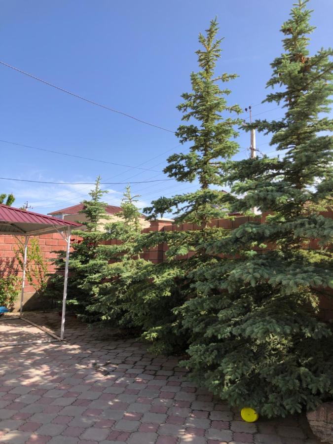 Гостевой Дом Айша Guest House Aisha 촐폰아타 외부 사진