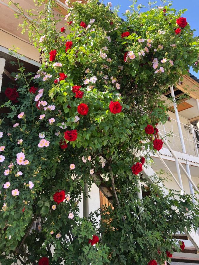 Гостевой Дом Айша Guest House Aisha 촐폰아타 외부 사진